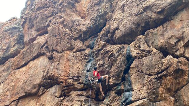 inbound7886738659617527757