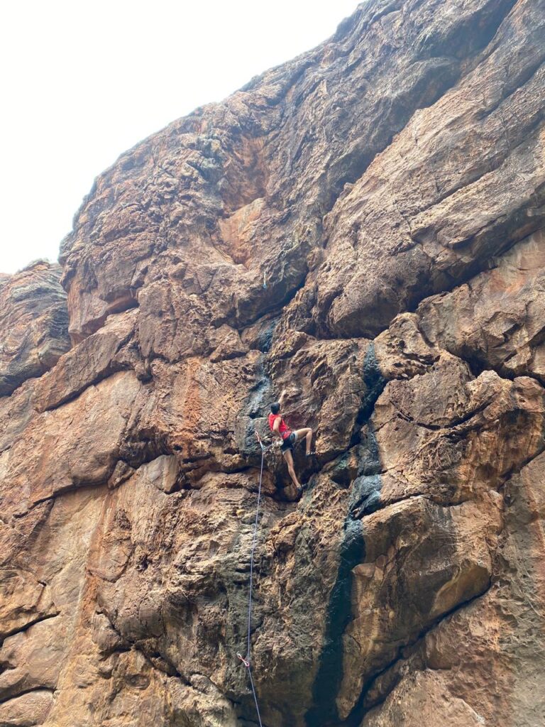 inbound7886738659617527757